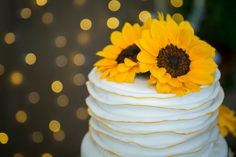 Cake Topper Ideas