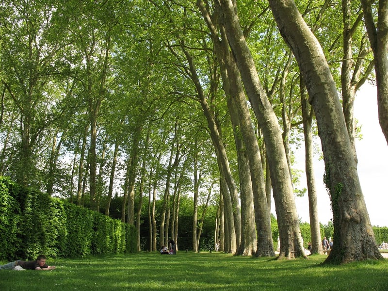 Versailles Gardens, France